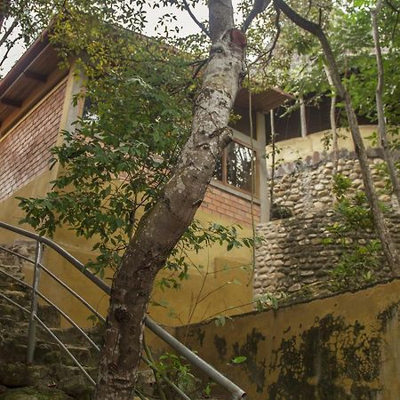Villa Yacumaman Sanctuary à Tarapoto Extérieur photo