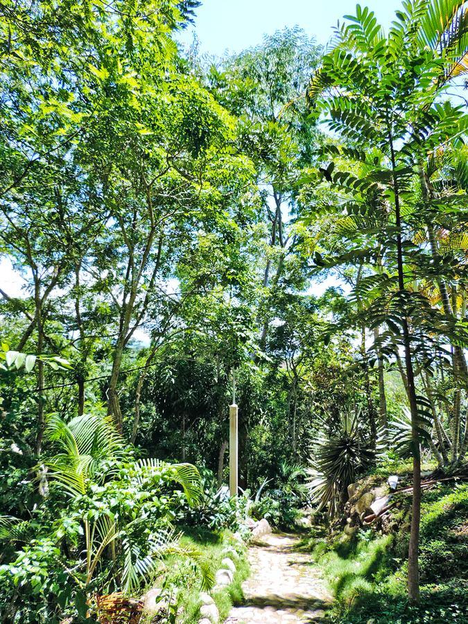 Villa Yacumaman Sanctuary à Tarapoto Extérieur photo