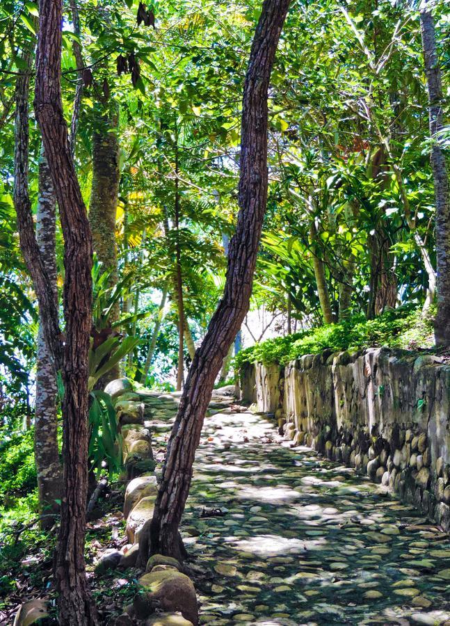 Villa Yacumaman Sanctuary à Tarapoto Extérieur photo