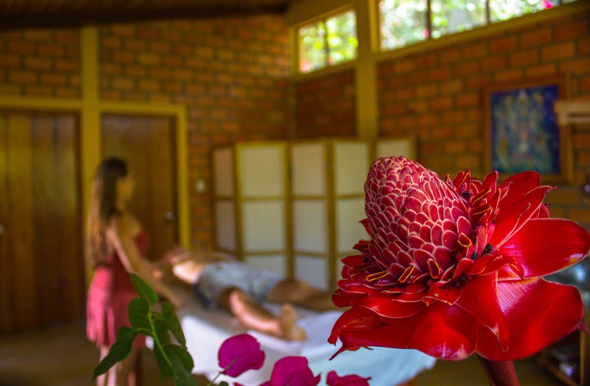 Villa Yacumaman Sanctuary à Tarapoto Extérieur photo