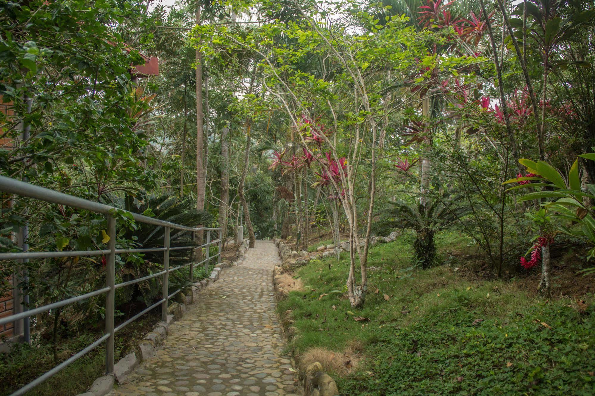 Villa Yacumaman Sanctuary à Tarapoto Extérieur photo